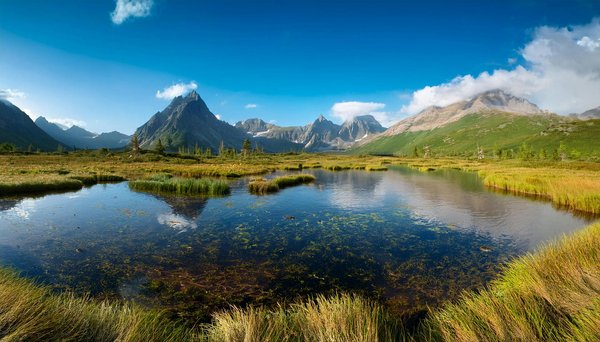 Où assister à des festivals de musique traditionnelle en Écosse?