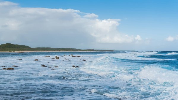 Comment organiser une visite des châteaux de la Loire, France?