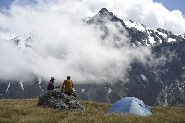 Quels sont les meilleurs conseils pour un camping en région de falaises avec observation des oiseaux marins?